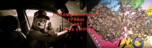 мдпв Гусь-Хрустальный
