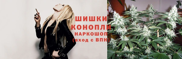 стафф Гусев