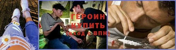 стафф Гусев