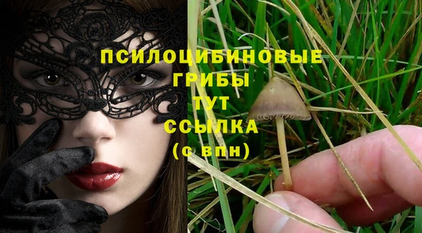 гидра Гусиноозёрск