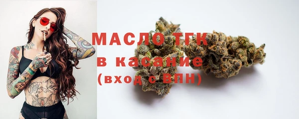 гидра Гусиноозёрск