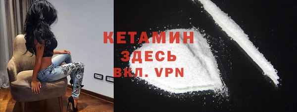 стафф Гусев