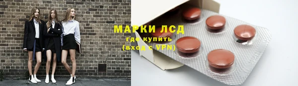 стафф Гусев