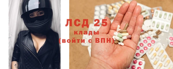 стафф Гусев