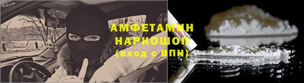 гидра Гусиноозёрск