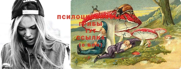 гидра Гусиноозёрск