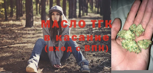 мдпв Гусь-Хрустальный