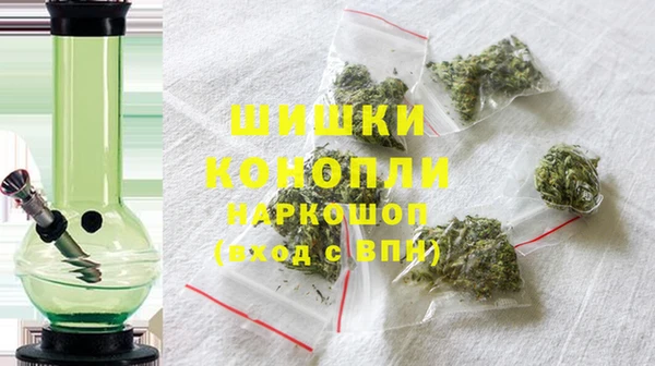 стафф Гусев