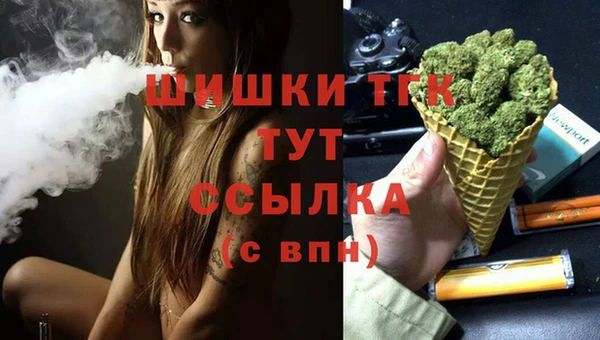 мдпв Гусь-Хрустальный