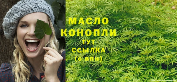 гидра Гусиноозёрск