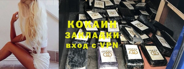 гидра Гусиноозёрск