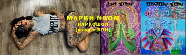 мдпв Гусь-Хрустальный