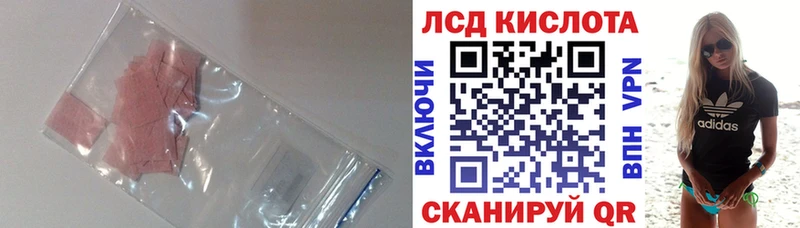 ссылка на мегу онион  Новохопёрск  Лсд 25 экстази кислота 