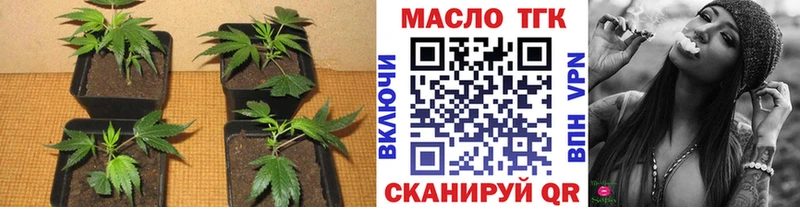 Дистиллят ТГК концентрат  сайты даркнета наркотические препараты  Новохопёрск 