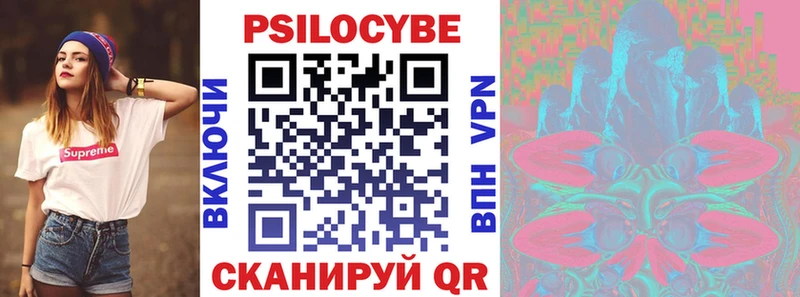 где купить наркотик Новохопёрск Псилоцибиновые грибы мицелий